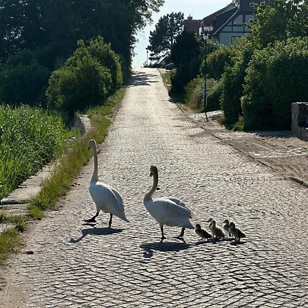Alice Mit 2 Balkonen Und Meerblick Apartmán *